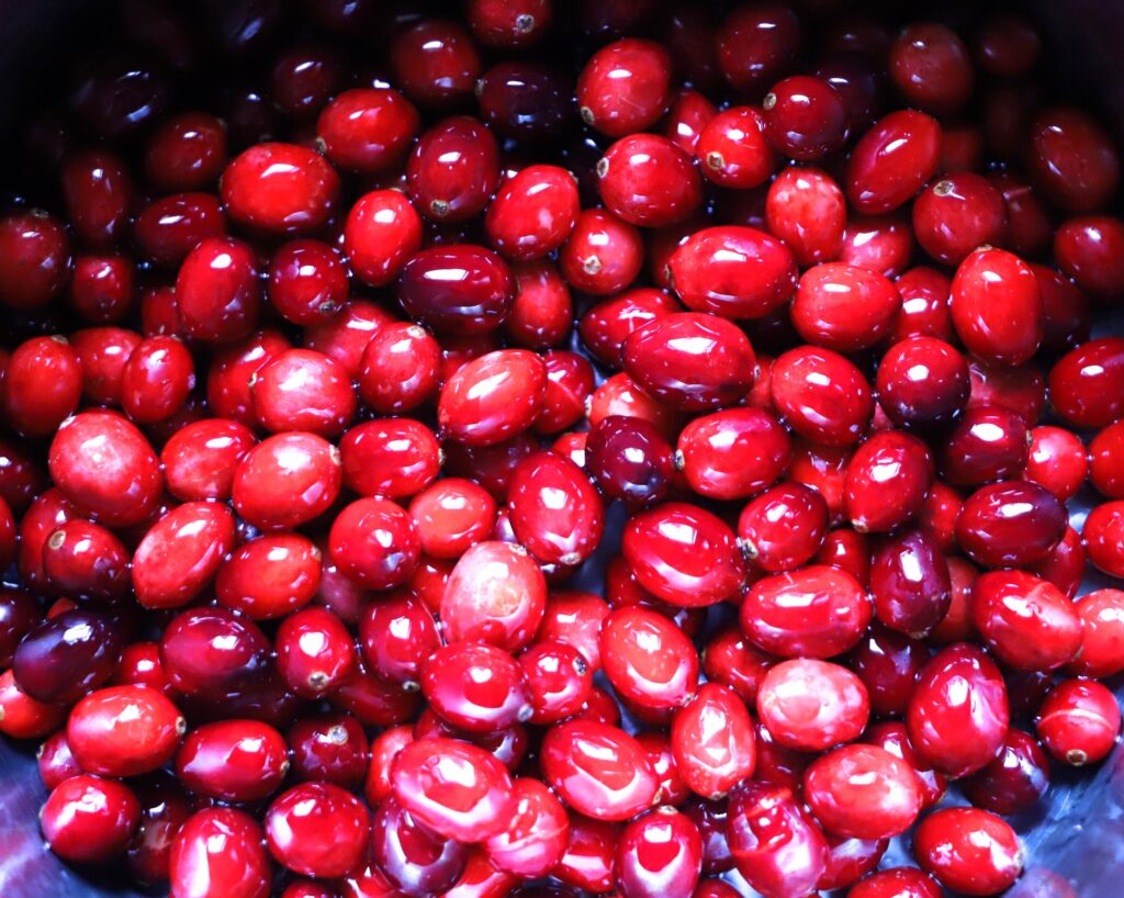 Infusing the Cranberries