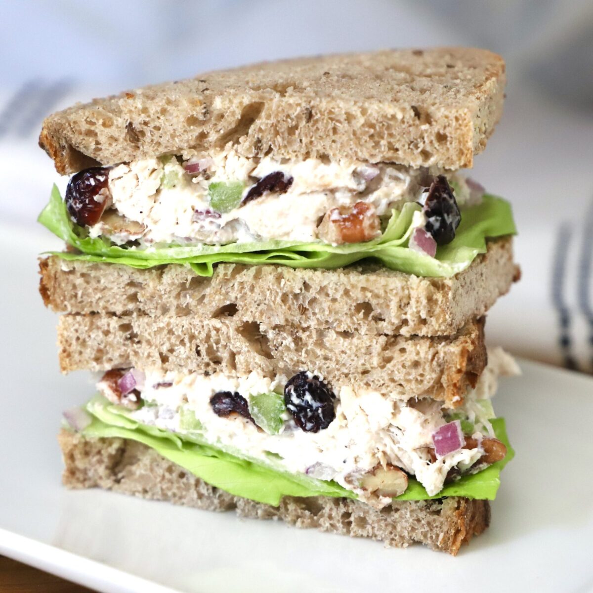 Pecan and Cranberry Chicken Salad Sandwich